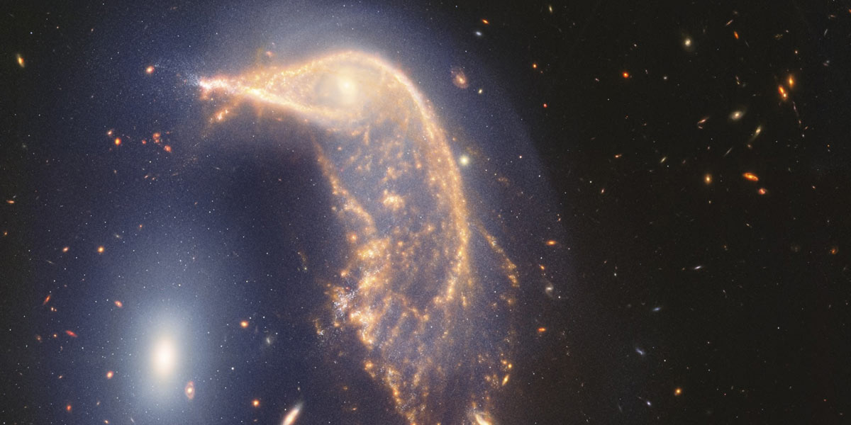 7-Arp-142.jpg